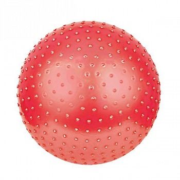 TMp 55 Терапевтический мяч 55 см в коробке с насосом